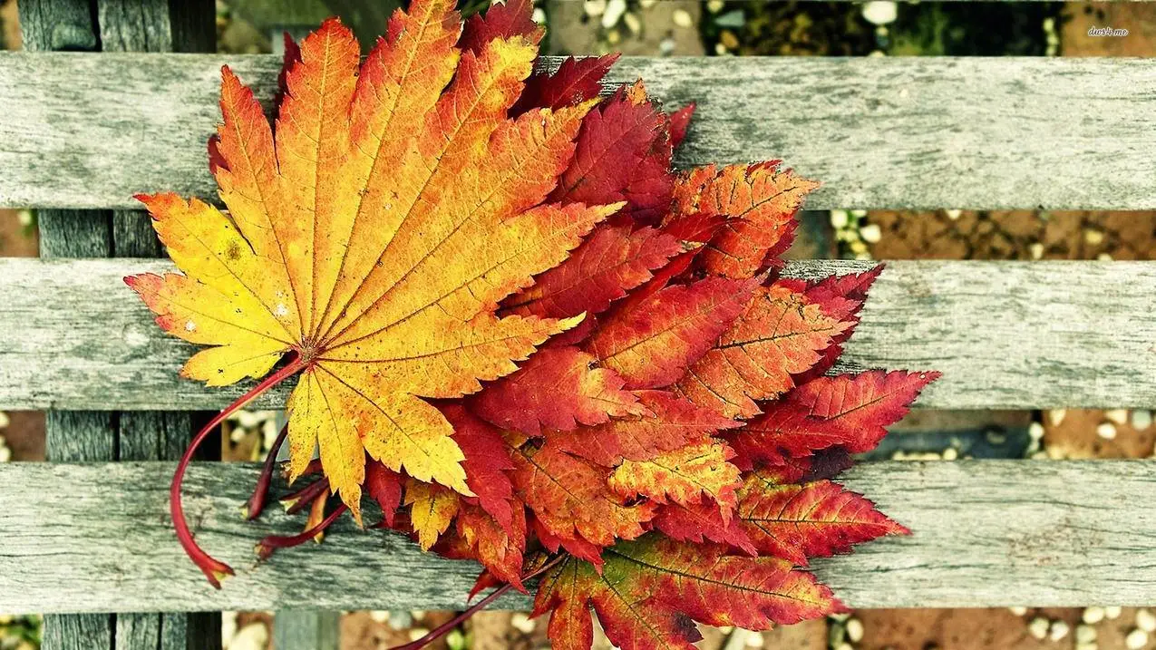 关于王者荣耀刷赞软件的信息