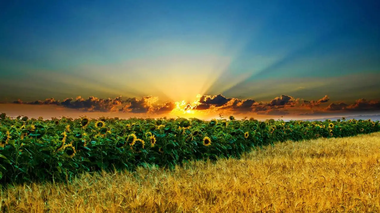 晨曦免费秒赞平台_晨曦免费秒赞平台官网 晨曦免费秒赞平台_晨曦免费秒赞平台官网