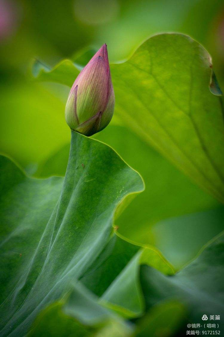 南荷刷网站_南荷推广平台 南荷刷网站_南荷推广平台