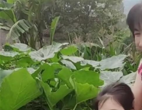 快手一毛钱一万赞平台_快手一毛钱一万赞平台扣多少钱 快手一毛钱一万赞平台_快手一毛钱一万赞平台扣多少钱