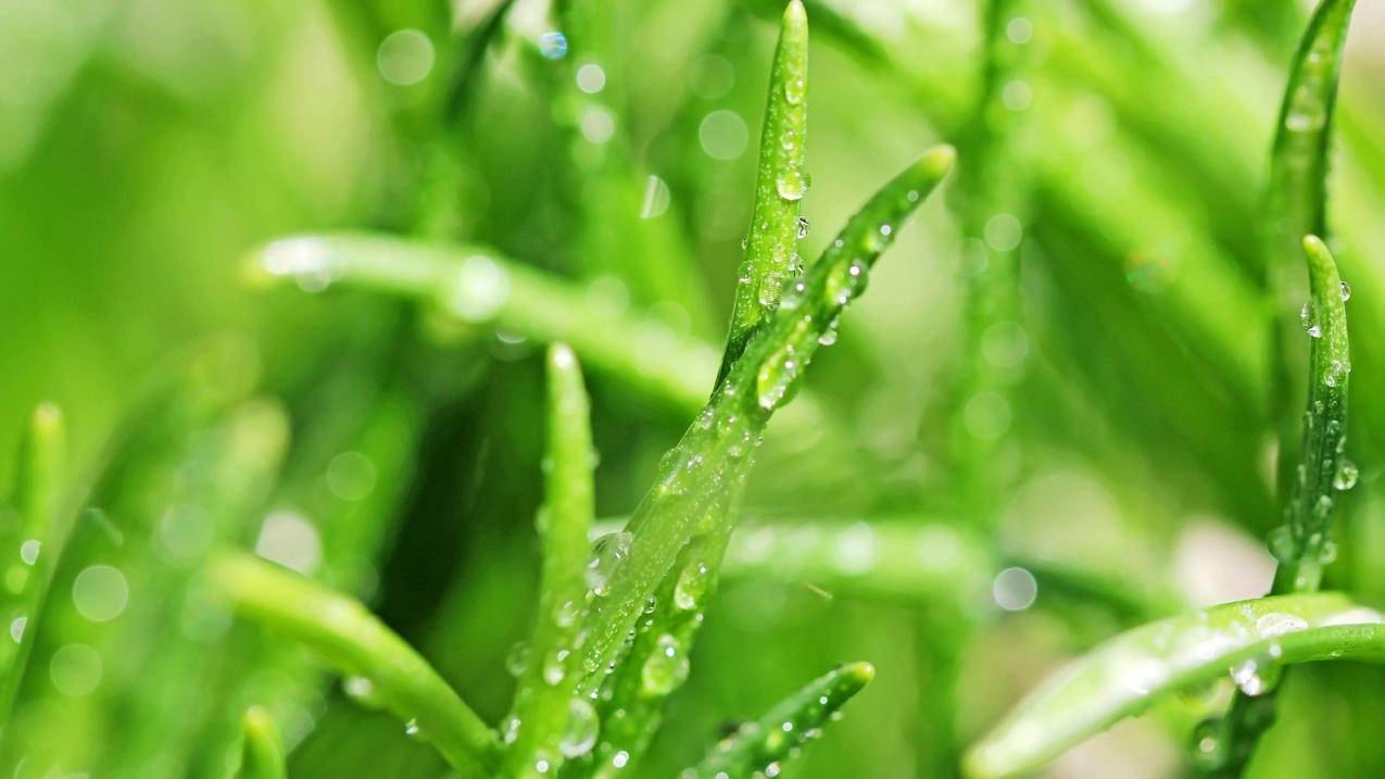 关于0元刷赞平台网站的信息 关于0元刷赞平台网站的信息