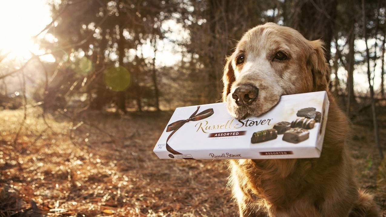 蚂蚁24小时自助下单双击的简单介绍 蚂蚁24小时自助下单双击的简单介绍