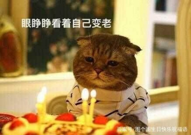 快手一块钱赞_快手一块钱是多少快币 快手一块钱赞_快手一块钱是多少快币