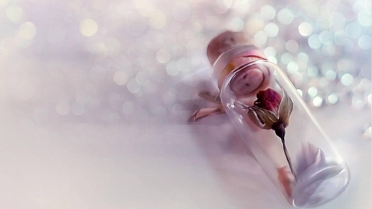 王者营地粉丝代刷_刷王者营地营地币软件 王者营地粉丝代刷_刷王者营地营地币软件