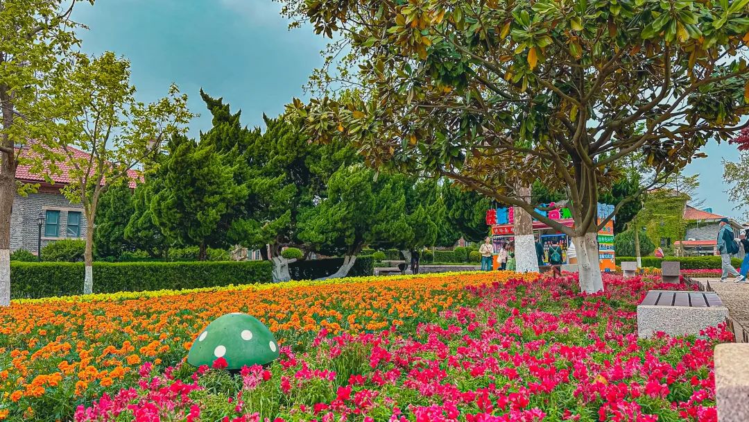 名片赞网站的简单介绍