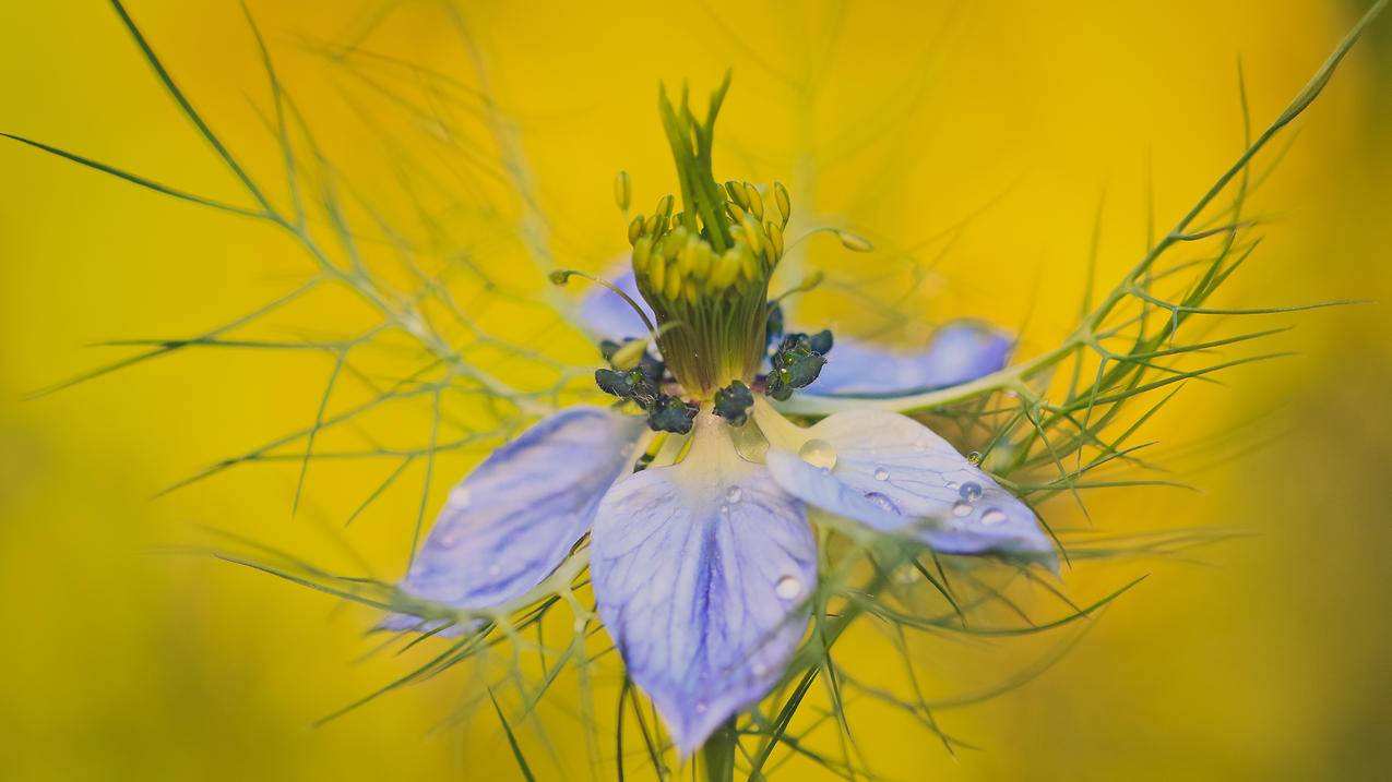 最便宜的超级代刷网_最便宜的超级代刷网站是哪个