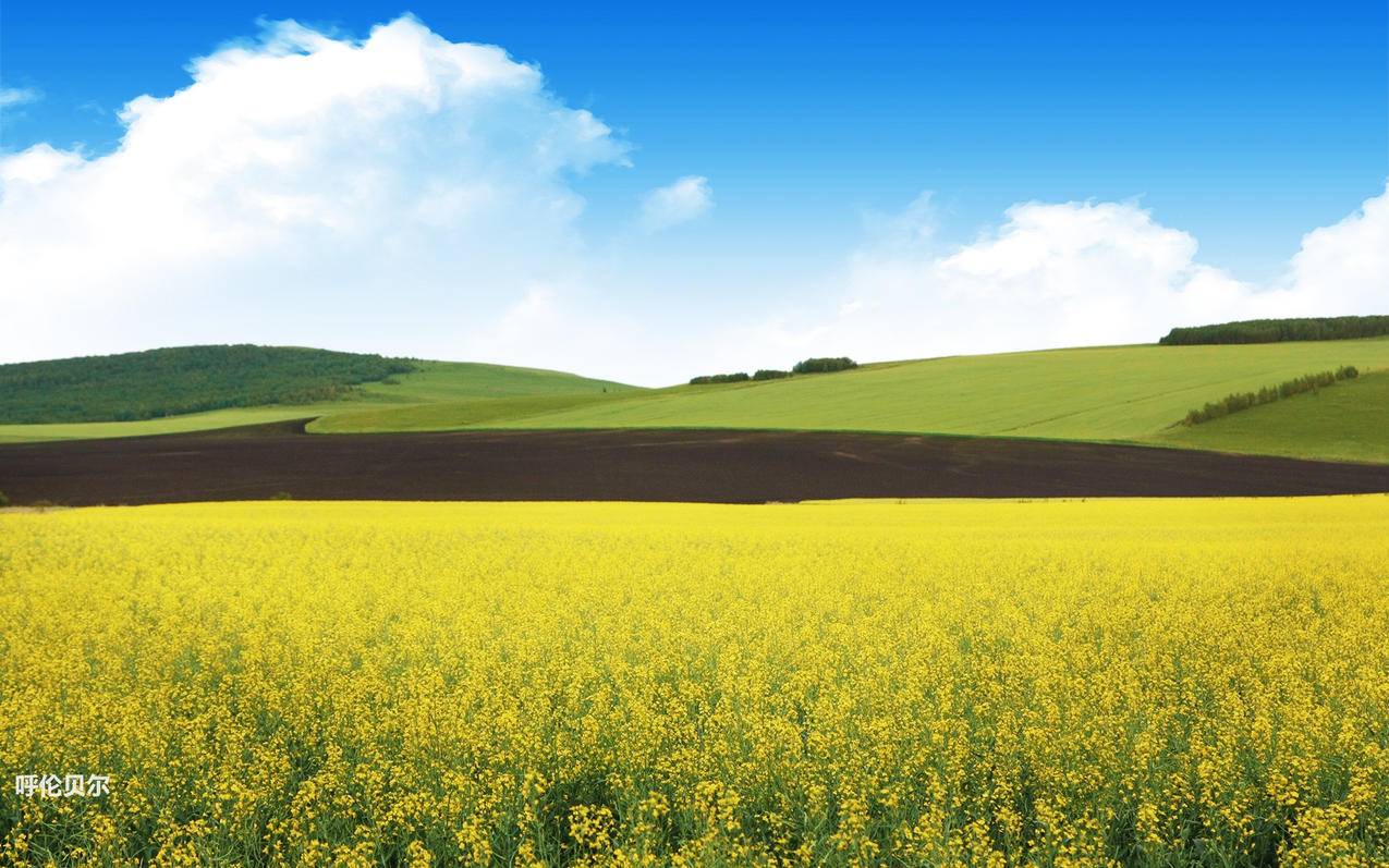 免费刷说说赞网址大全的简单介绍 免费刷说说赞网址大全的简单介绍