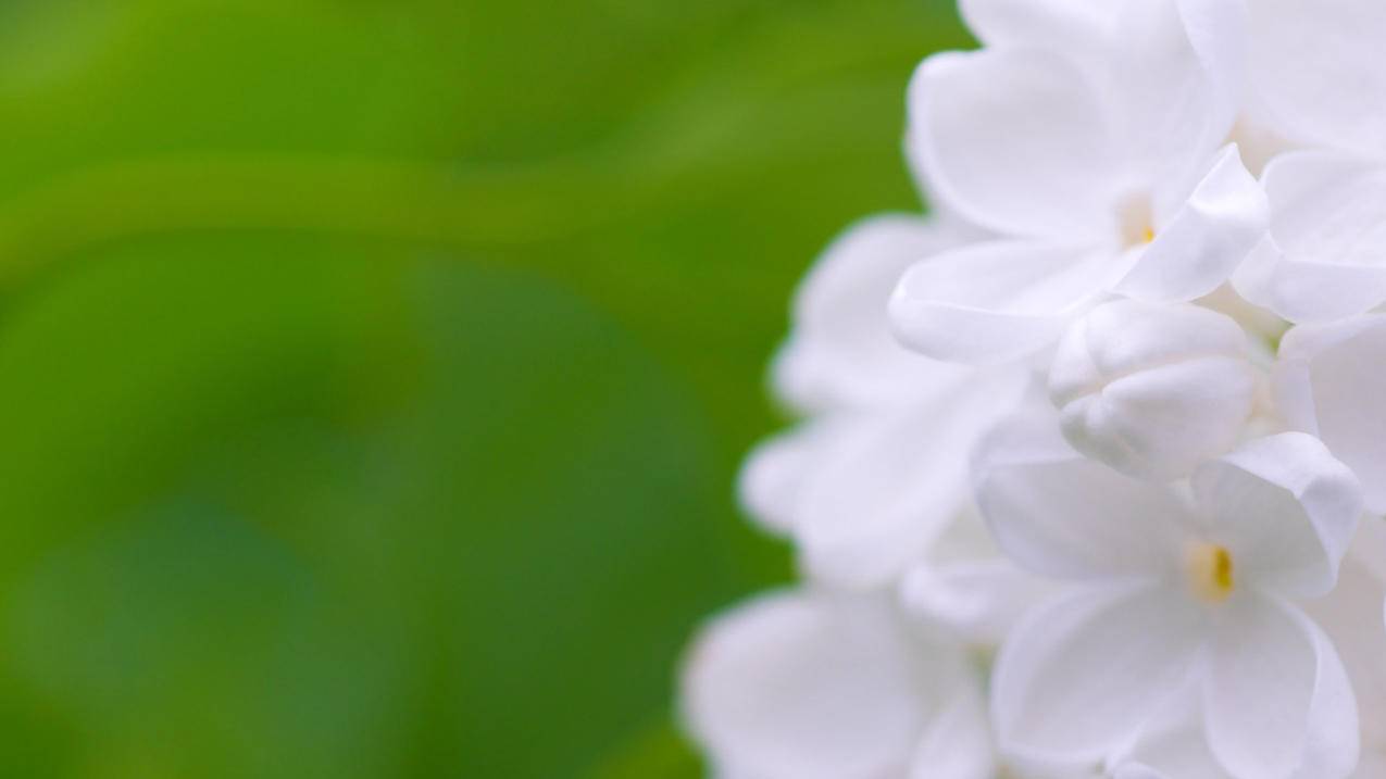 关于代刷ks业务网站的信息 关于代刷ks业务网站的信息