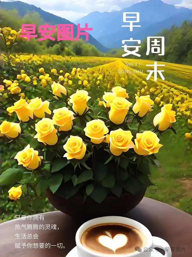 晨曦秒赞平台_晨曦秒赞平台怎么样 晨曦秒赞平台_晨曦秒赞平台怎么样