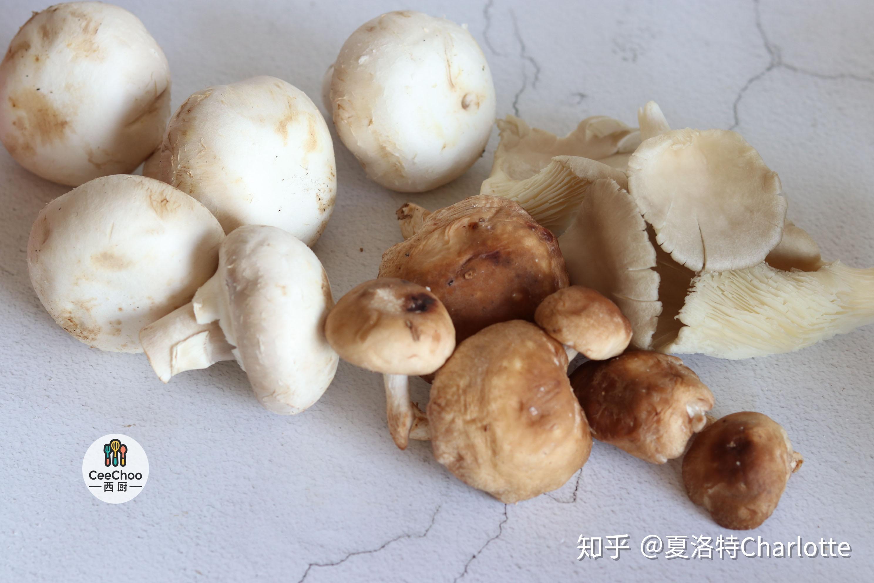 蘑菇代刷网_蘑菇代理ip 蘑菇代刷网_蘑菇代理ip