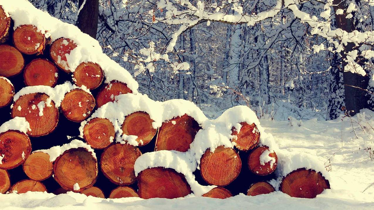 qq互赞网址微信支付_空间互赞网站微信支付 qq互赞网址微信支付_空间互赞网站微信支付