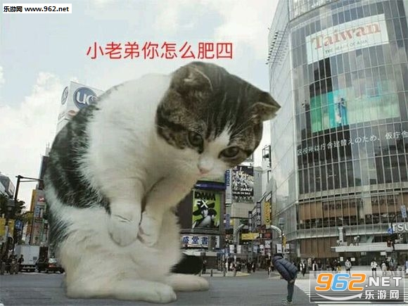 代刷小老弟_小老弟刷快手 代刷小老弟_小老弟刷快手