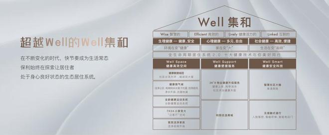 关于24小时在线代刷平台低价的信息 关于24小时在线代刷平台低价的信息