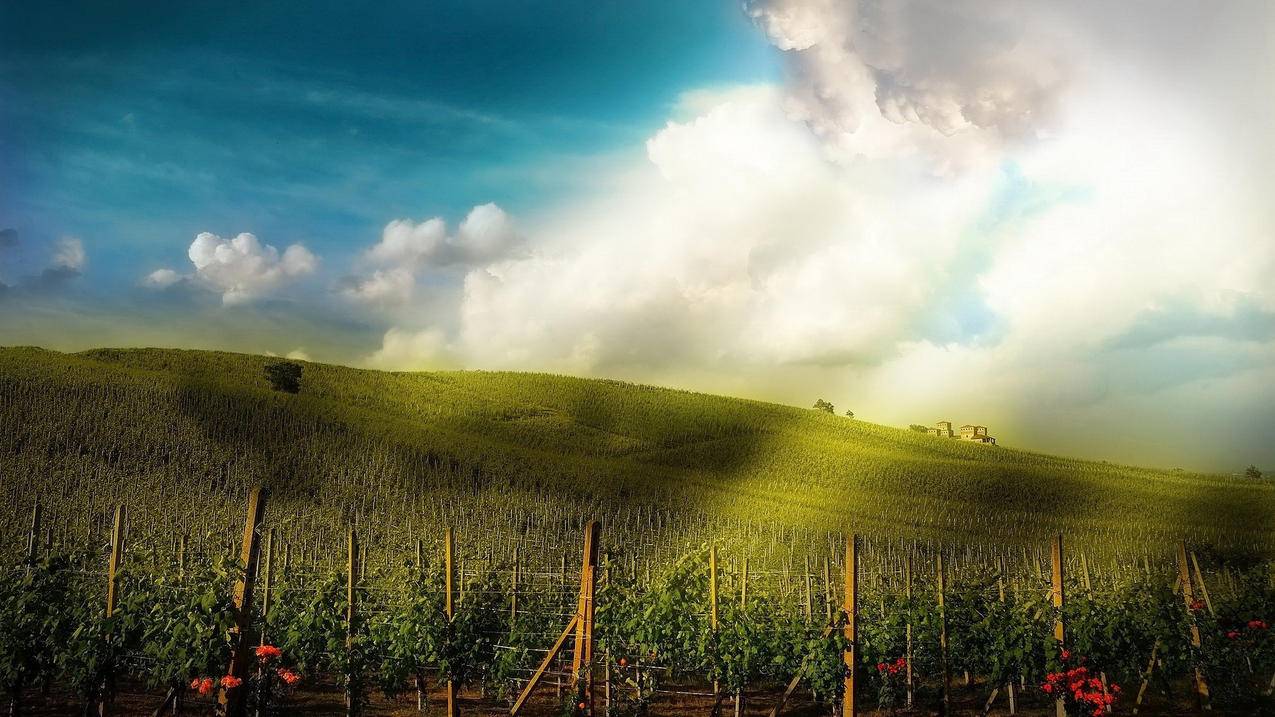 qq空间赞网站最便宜_空间赞网站免费领取 qq空间赞网站最便宜_空间赞网站免费领取