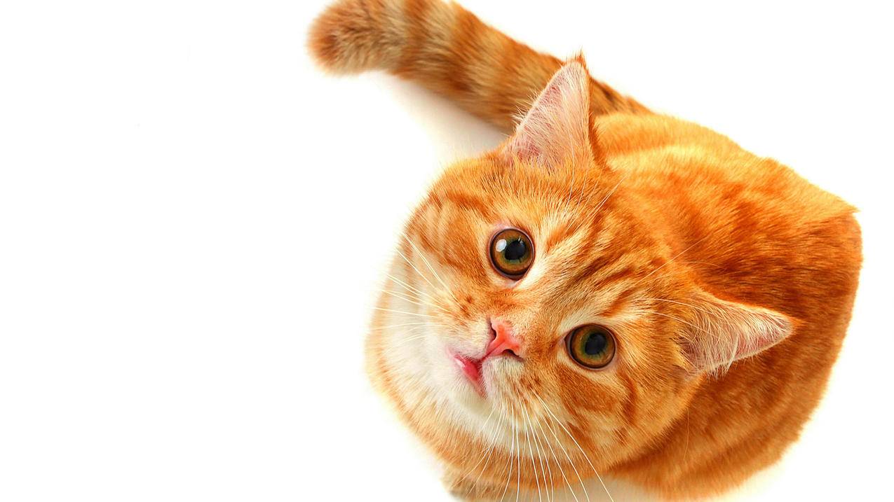 0.1万刷赞_一元刷10万赞网站