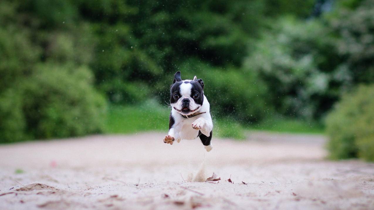 橘子代刷赞_橘子代表的寓意是什么意思 橘子代刷赞_橘子代表的寓意是什么意思