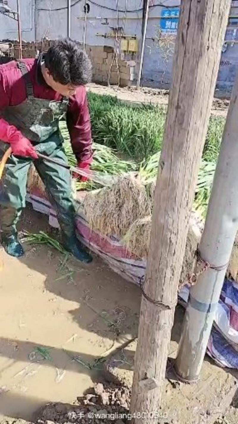 包含快手刷代网0.35的词条