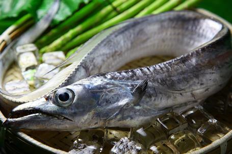 宁白代刷_hk白代刷系统