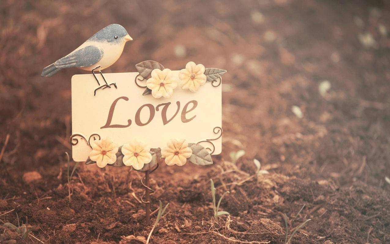 在线刷快手双击网站微信支付_快手刷双击秒刷自助低价微信支付 在线刷快手双击网站微信支付_快手刷双击秒刷自助低价微信支付