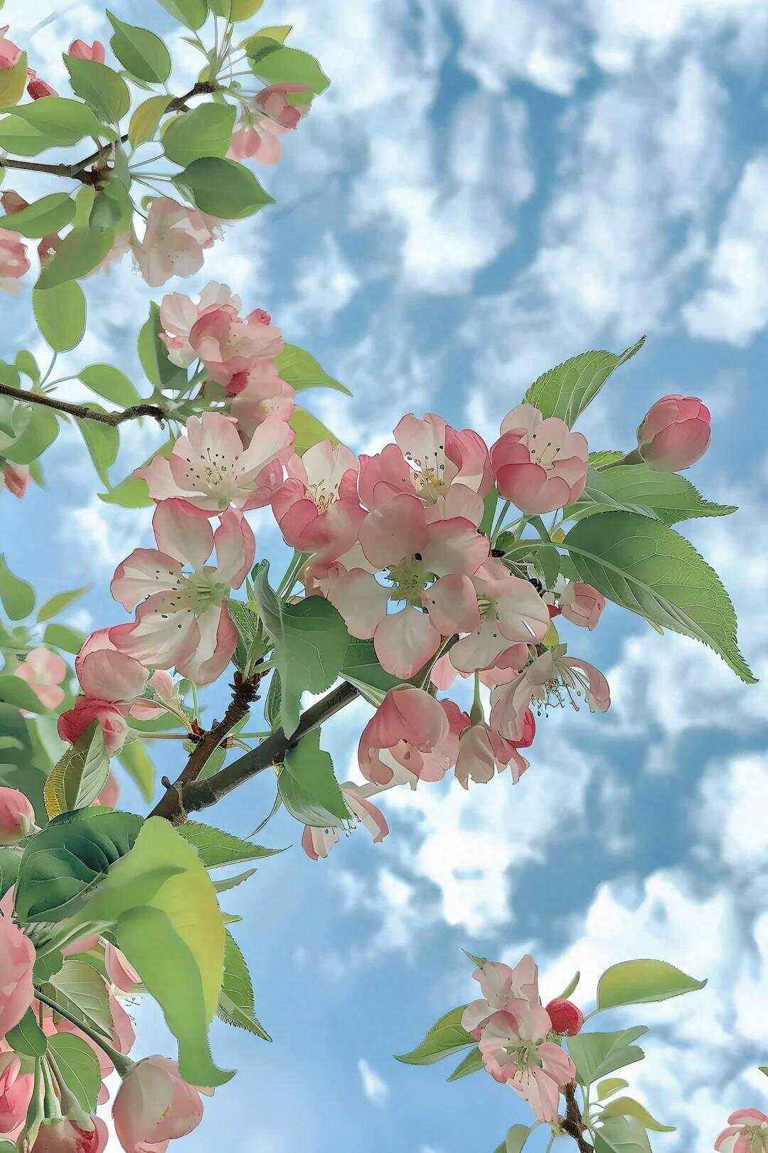 乐少代刷网_乐游代刷官网下载