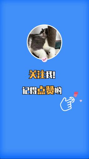 快手刷关注神器_刷快手关注量软件 快手刷关注神器_刷快手关注量软件