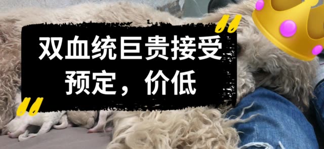 快手业务超低价_快手全网低价业务