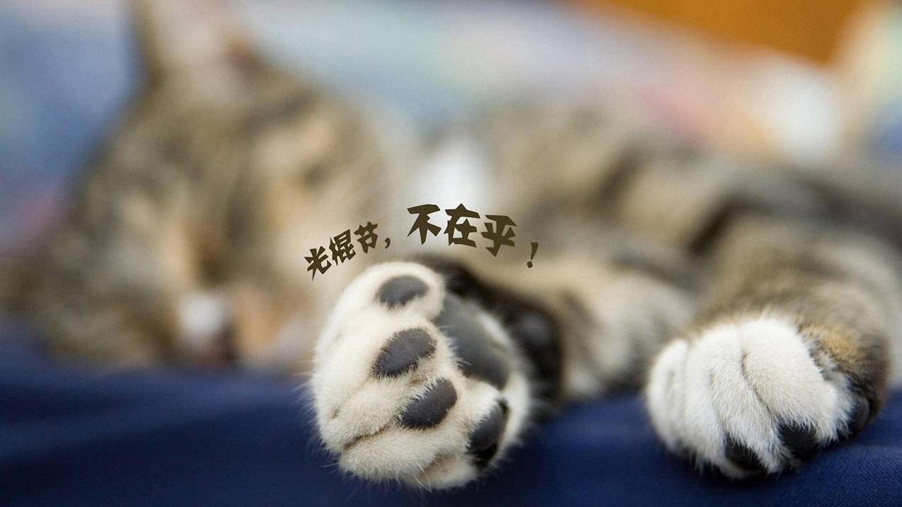 蚂蚁代刷_蚂蚁代练官网下载