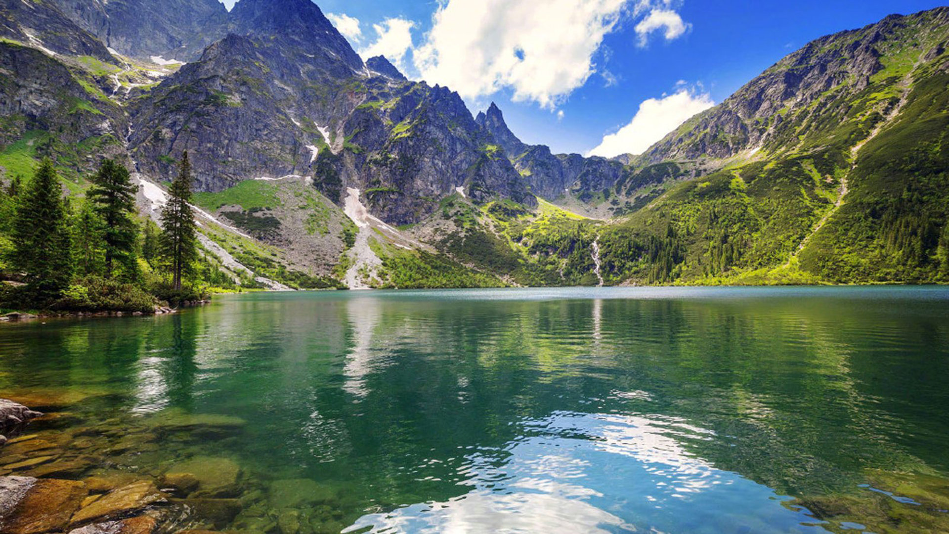 僵尸粉代刷_僵尸粉违法吗