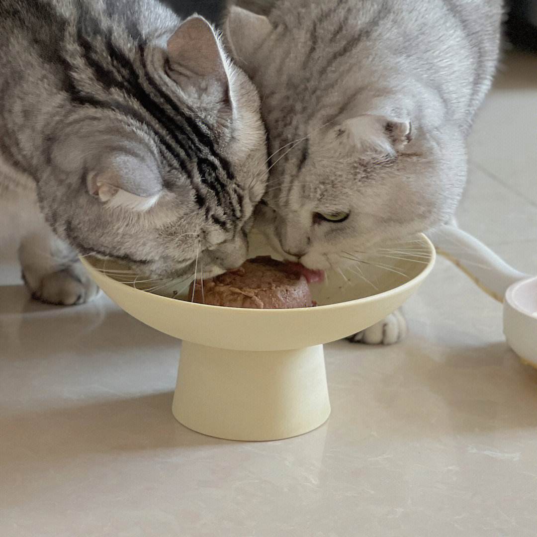 蚂蚁快刷_蚂蚁快赚平台是真的吗