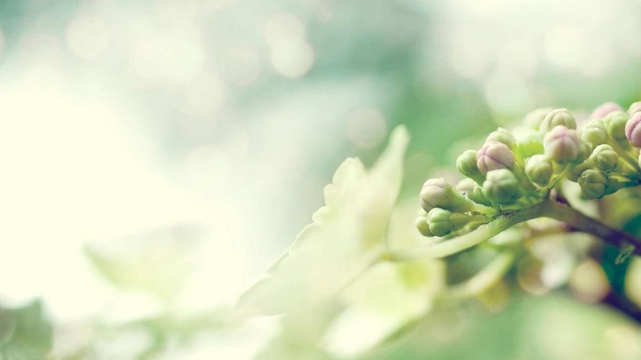 南荷代刷网页_刷宝app下载