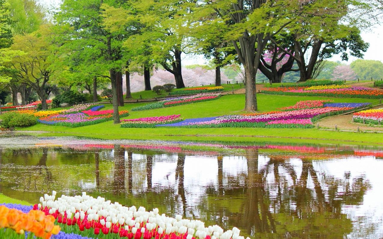 在线秒刷快手双击网站_快手在线秒刷双击网址便宜