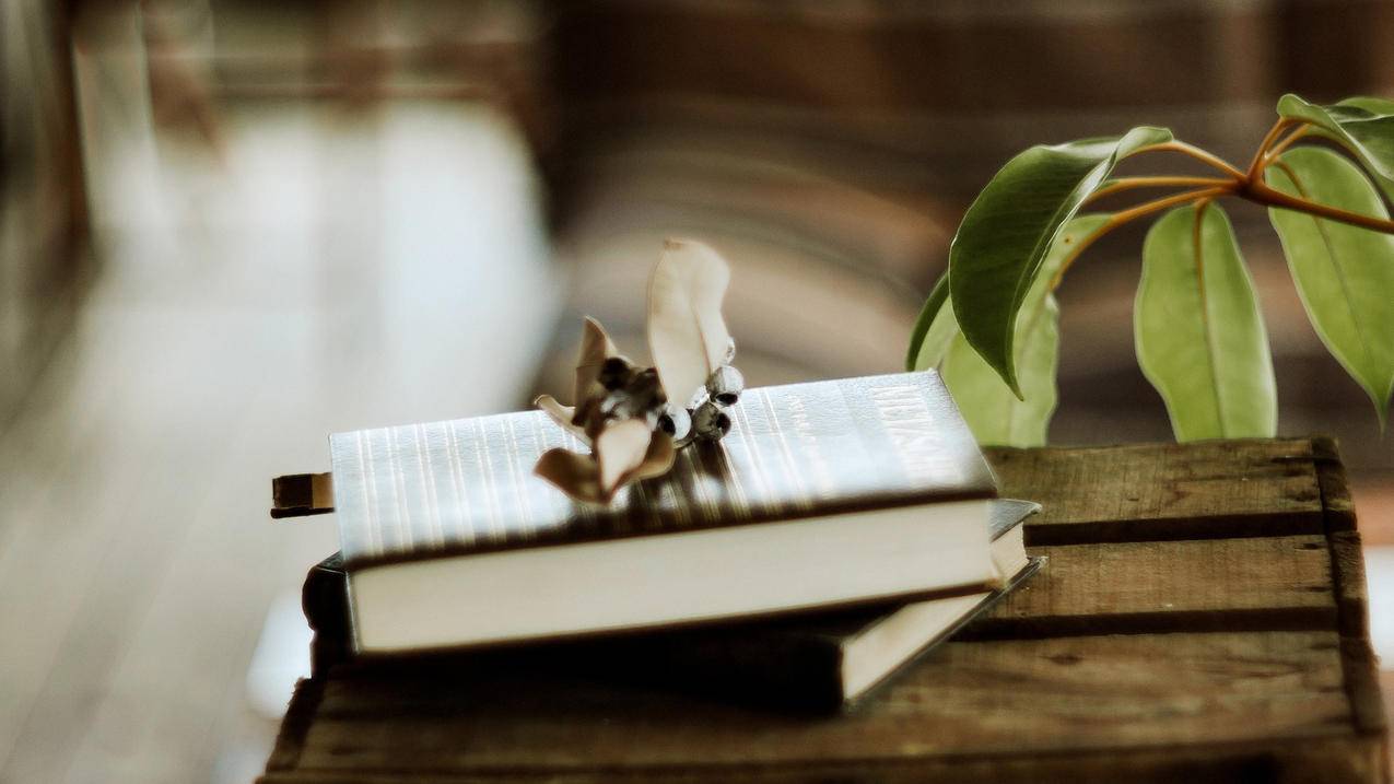 允昌代刷网站_允昌卡盟全国最大 允昌代刷网站_允昌卡盟全国最大