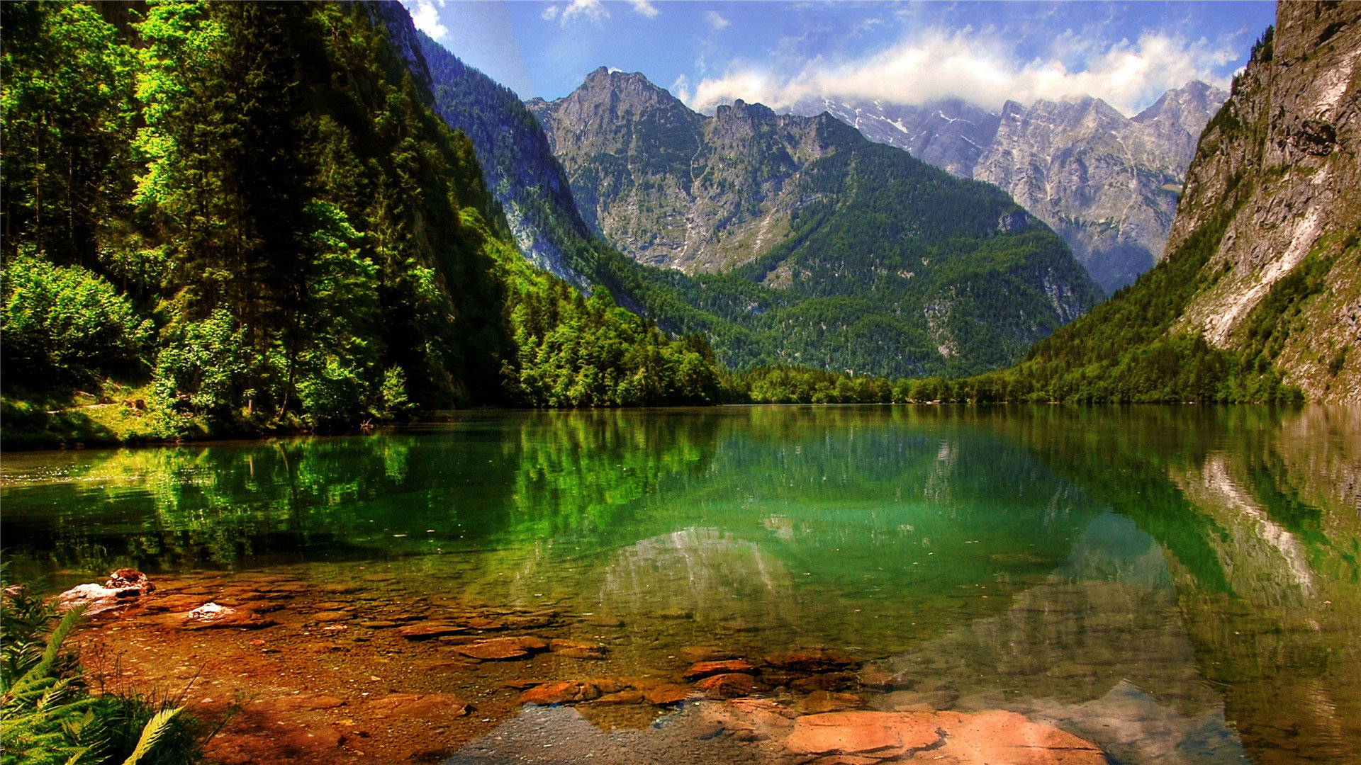 包含抖音刷赞在线下单的词条