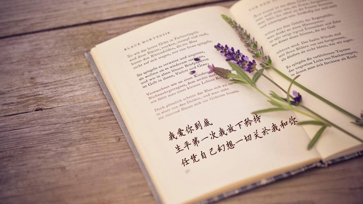 关于qq刷赞说说网址的信息 关于qq刷赞说说网址的信息