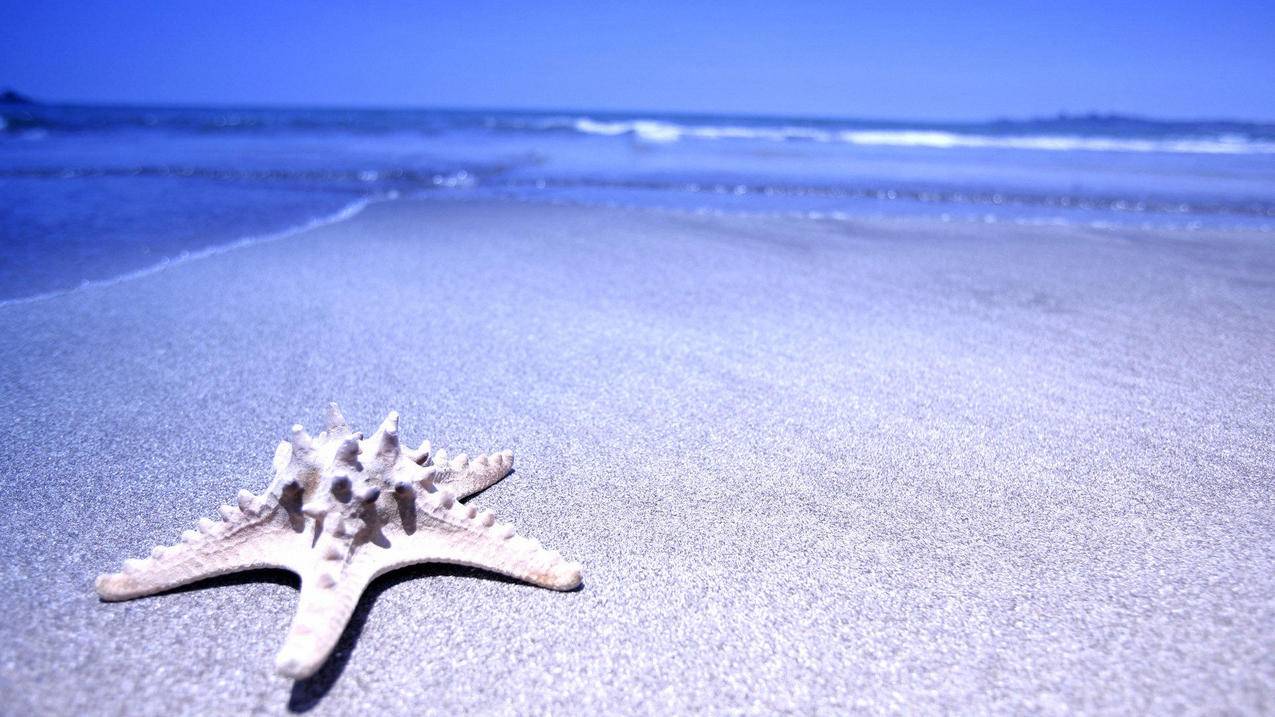 梓豪平台_梓豪平台改主机端口