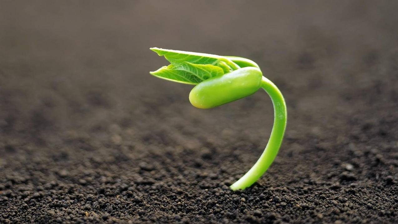 关于刷赞软件推广网址的信息 关于刷赞软件推广网址的信息