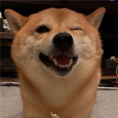 免费每天送名片赞网站,快手业务秒刷下单平台,快手低价秒刷业务网站的简单介绍 免费每天送名片赞网站,快手业务秒刷下单平台,快手低价秒刷业务网站的简单介绍