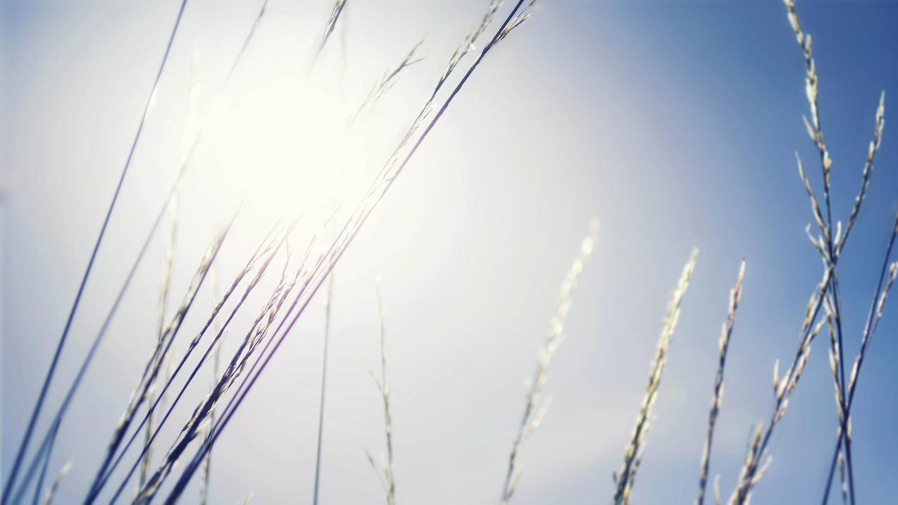 关于快手赞代刷网站的信息