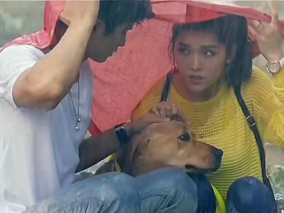 包含小七业务代刷网的词条