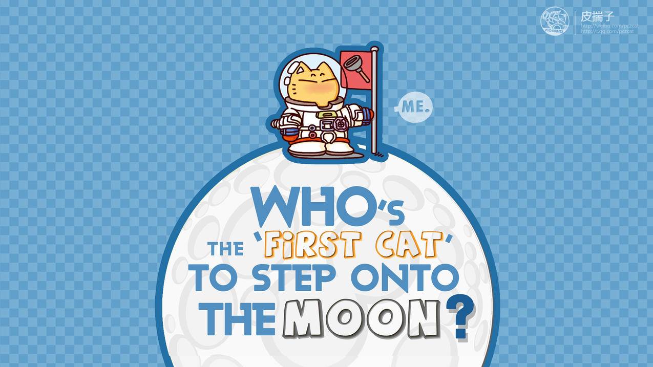 快手刷播放卡盟_快手刷播放双击网址卡盟