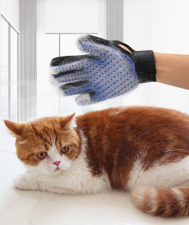 沐晨超级代刷网_浙财怎么查晨刷次数