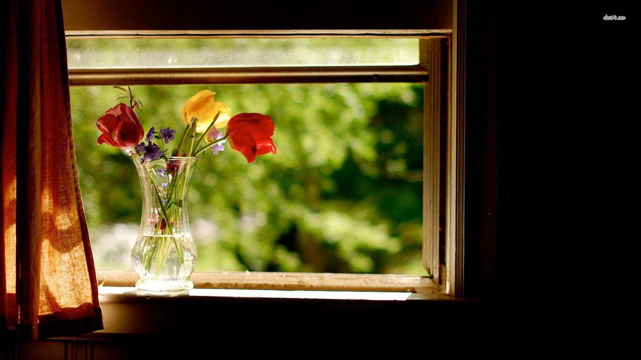 qq空间说说赞超低价_空间说说赞最便宜网站梓豪 qq空间说说赞超低价_空间说说赞最便宜网站梓豪