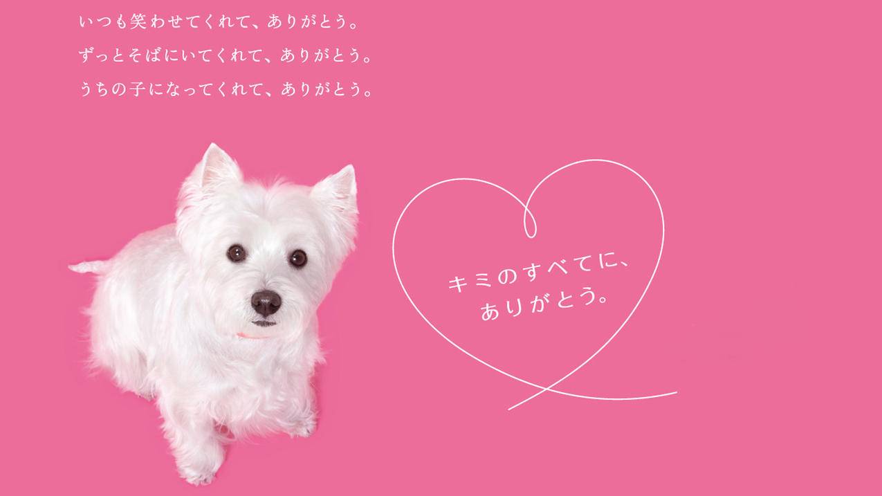 王者荣耀刷赞低价_王者荣耀刷机关定位是什么意思 王者荣耀刷赞低价_王者荣耀刷机关定位是什么意思