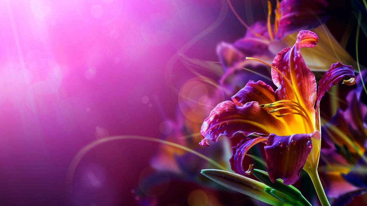 滕族代刷网_代刷腾 滕族代刷网_代刷腾