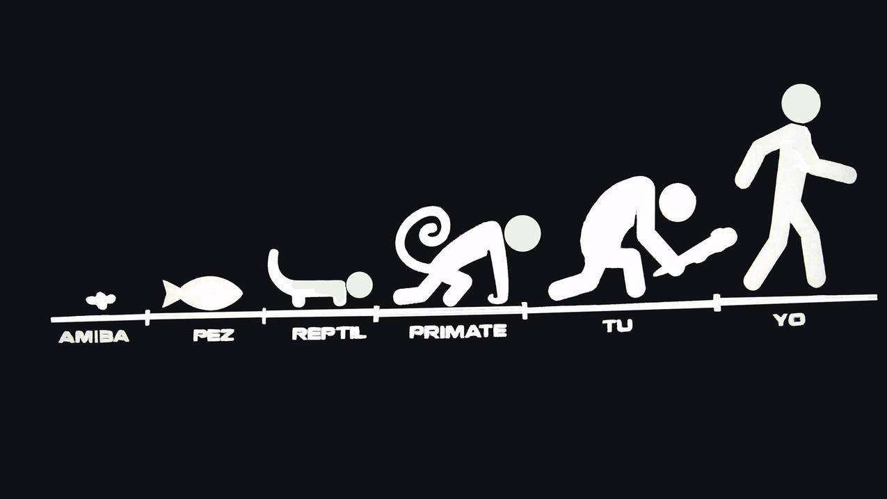 关于最低刷赞的信息